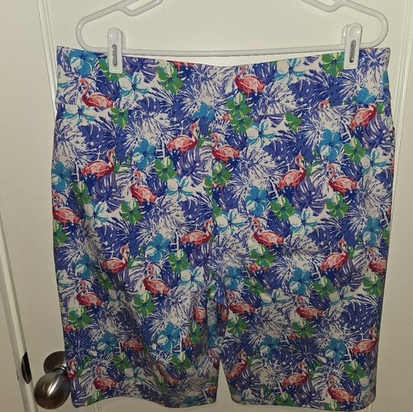 ATTYRE New York shorts. Size 16.   Never worn. - Picture 1 of 3